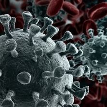 Coronavirus | Bildquelle: Shutterstock Coronavirus in Nahaufnahme