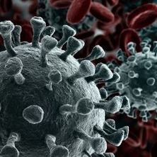Coronavirus | Bildquelle: Shutterstock Coronavirus in Nahaufnahme